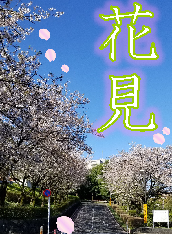 花見