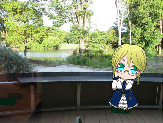 レイ
